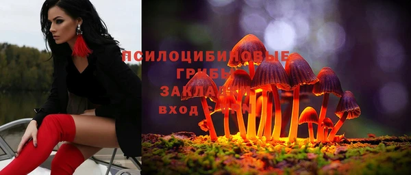 каннабис Верея
