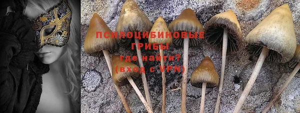 каннабис Верея