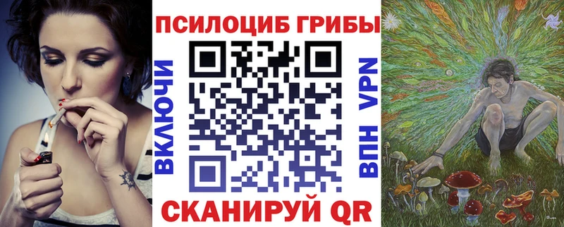 Купить закладки  Хасавюрт  Галлюциногенные грибы мухоморы 