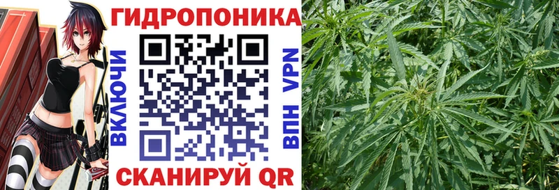 Каннабис Ganja  Купить  Хасавюрт 